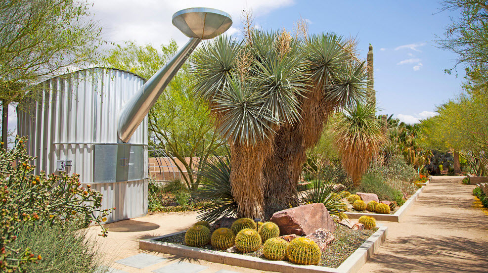 Botanical Garden at the Springs Preserve, United States
